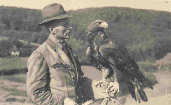 arch_dt_ad arch_dt_ad